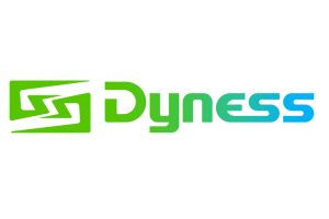 Omvormer_Dyness